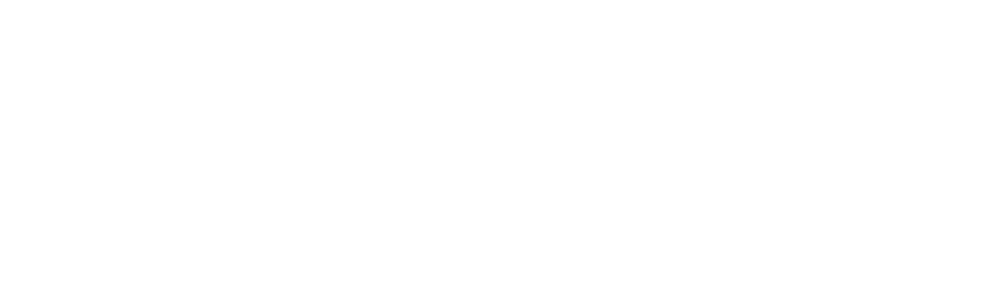 Pluma Agency logo